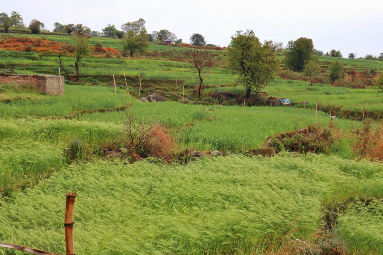 Raahi Stay, Landing Site Bir - Stay & Cafe Bagian luar foto