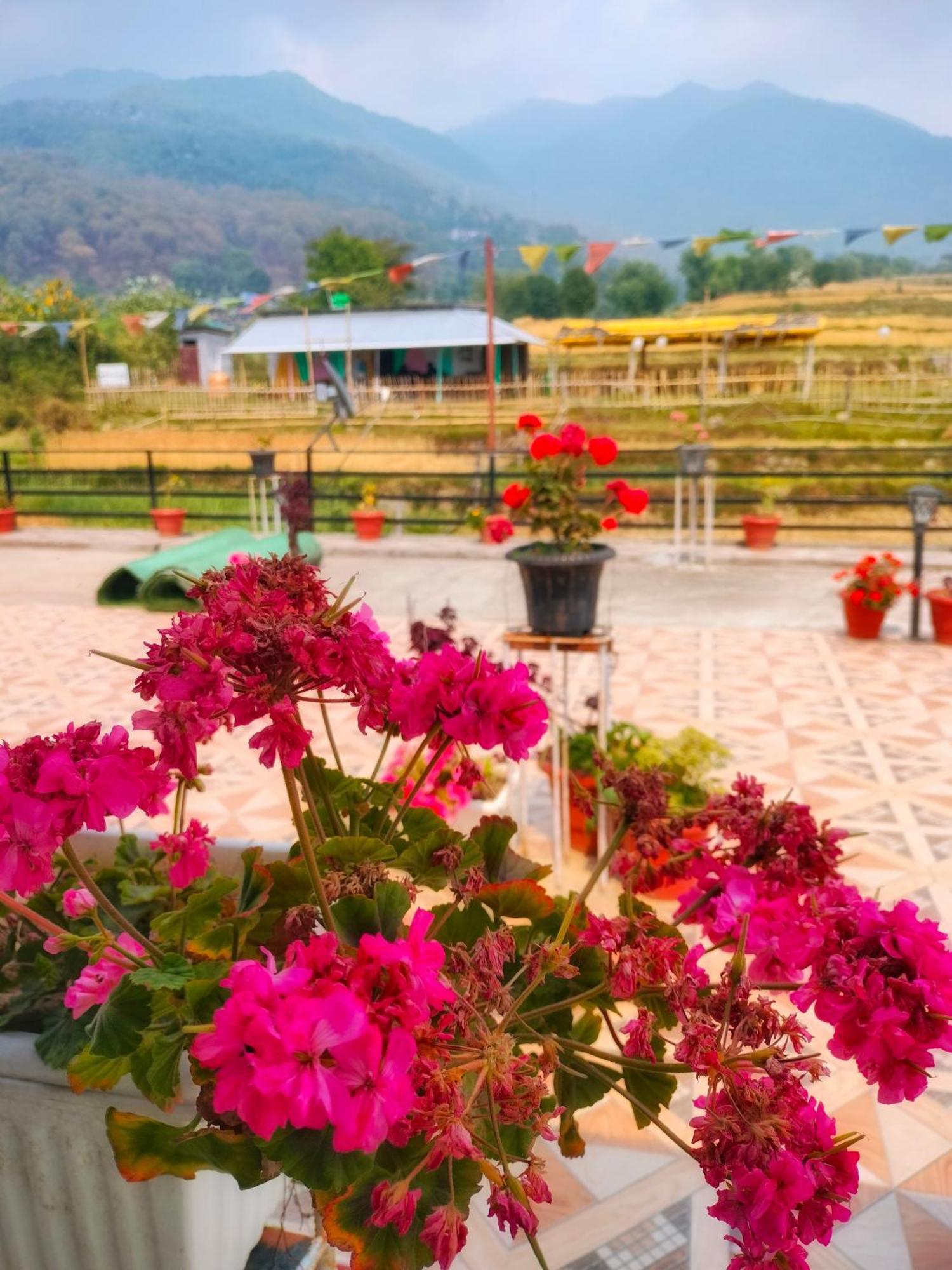 Raahi Stay, Landing Site Bir - Stay & Cafe Bagian luar foto
